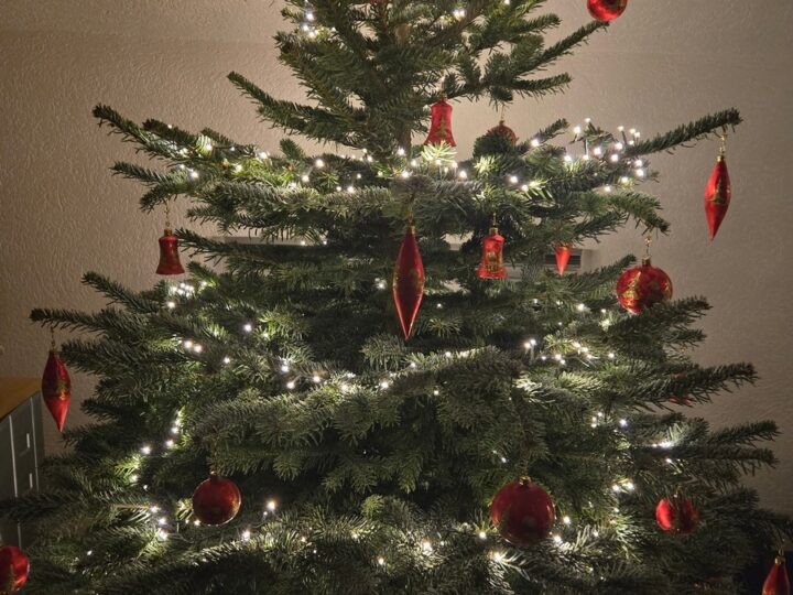 Frohe Festtage und ein gutes neues Jahr