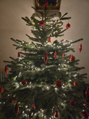 Frohe Festtage und ein gutes neues Jahr